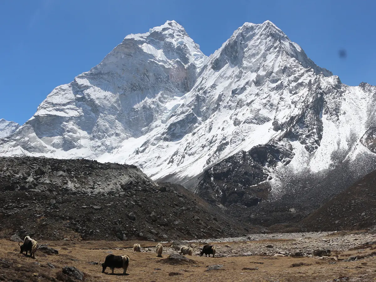 Luxury Everest Base Camp Trek with Premium Helicopter & Lodge Experience