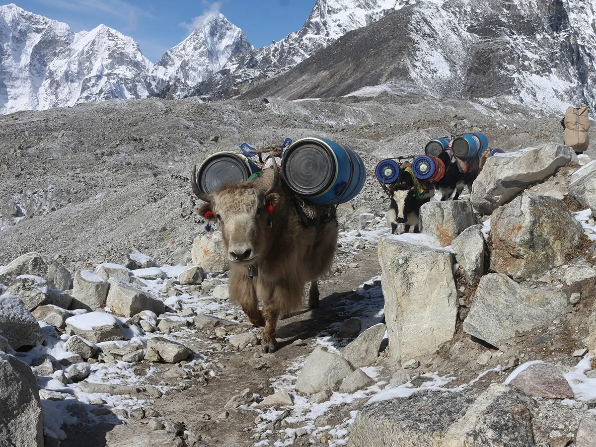 Luxury Everest Base Camp Trek with Helicopter Return: A Premium Himalayan Adventure