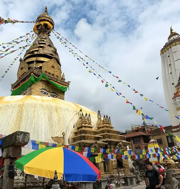Royal Nepal Retreat: Five-Star Tour of Heritage, Himalayas & Wildlife